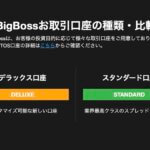 BigBossの口座タイプ